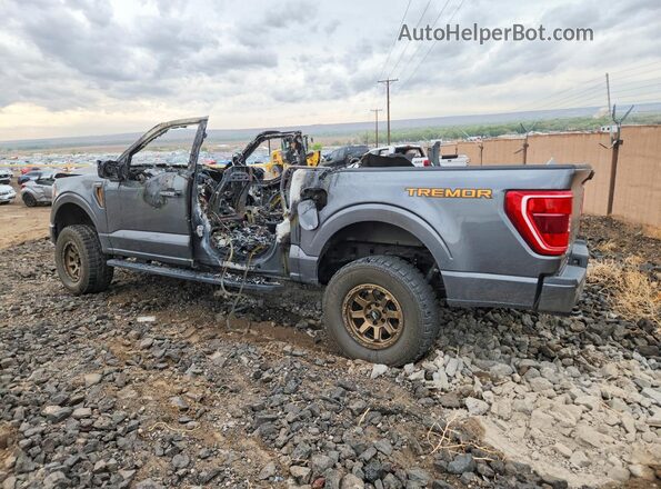 1FTFW1E56PFB03370 2023 FORD F150 Gray Հետևի ձախ