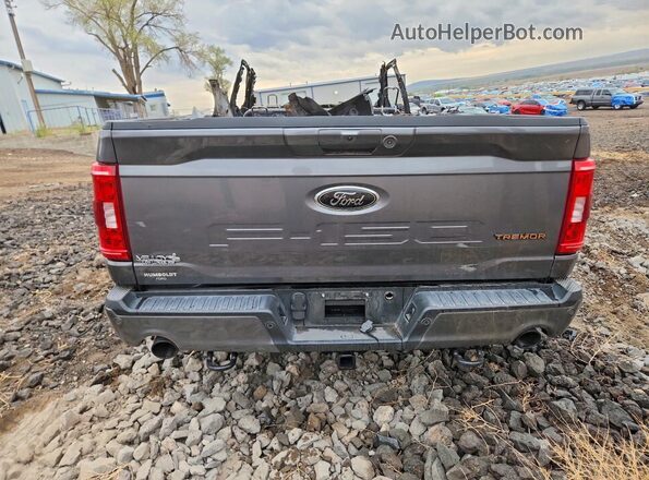 1FTFW1E56PFB03370 2023 FORD F150 Gray Հետևի տեսք