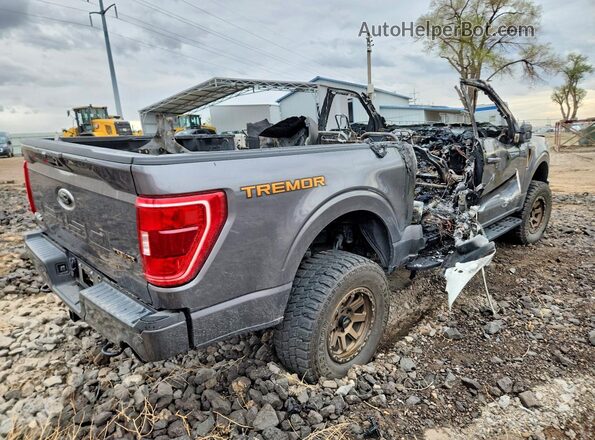1FTFW1E56PFB03370 2023 FORD F150 Gray Հետևի աջ
