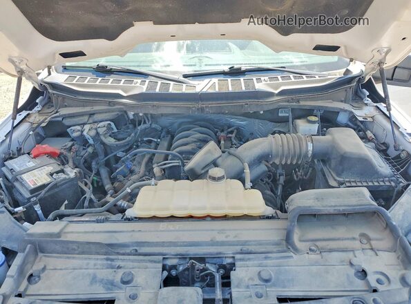 1FTFW1E58MFC96813 2021 FORD F150 White Widok wnętrza z tyłu