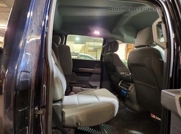 1FTFW1E58MFD09947 2021 FORD F150 Синий Вид задних сидений