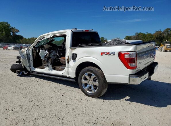 1FTFW1E59PFB41529 2023 FORD F150 White Tył lewy