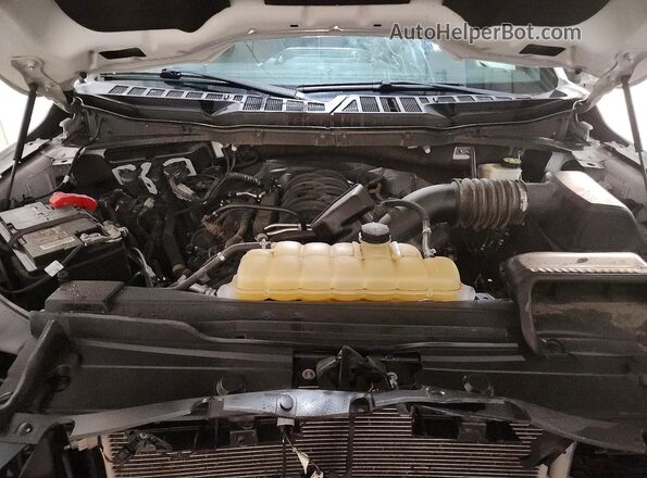 1FTFW1E5XPFA34585 2023 FORD F150 Белый Вид задней части салона