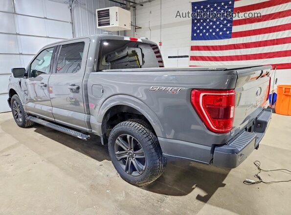 1FTFW1E80MFA20409 2021 FORD F150 Серый Задняя левая четверть