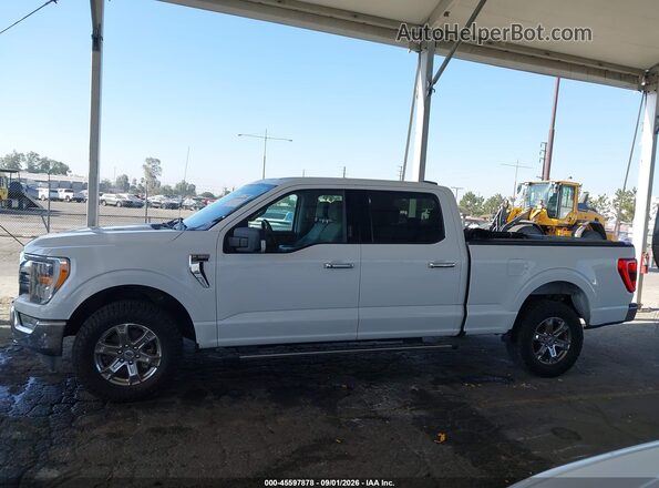 1FTFW1E80MFC36650 2021 FORD F150 Белый Панорамный вид салона 360°