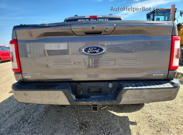 1FTFW1E82PFC08921 2023 FORD F150 Серый Вид сзади