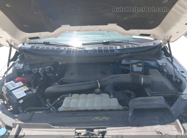 1FTFW1E83MFB48899 2021 FORD F150 White Vista trasera