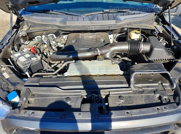 1FTFW1E85MFA20275 2021 FORD F150 Gray Rear interior view