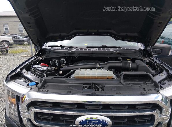 1FTFW1E85MFA92352 2021 FORD F150 Синий Вид сзади
