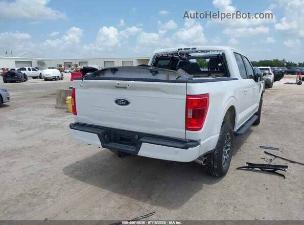 1FTFW1E88PKD73847 2023 FORD F150 White Rear right