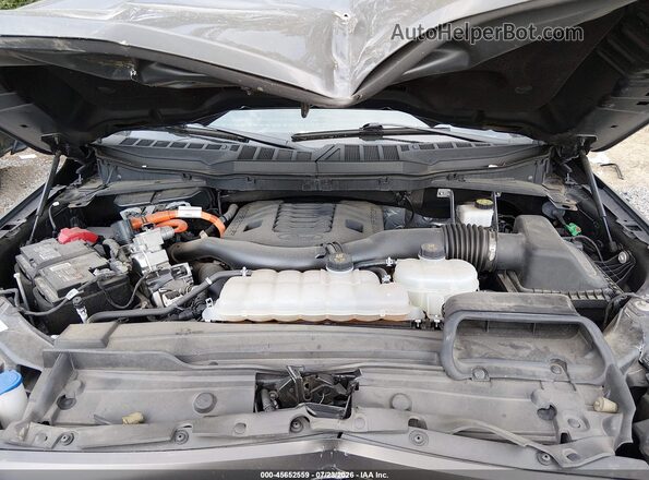 1FTFW1ED0MFC72304 2021 FORD F150 Gray Հետևի տեսք