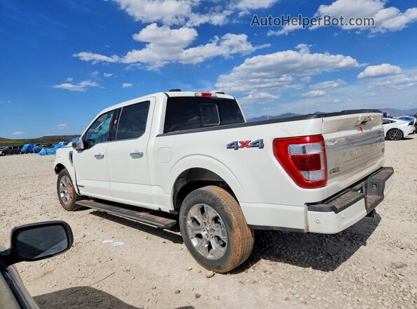 1FTFW1ED0PFB55343 2023 FORD F150 White Tył lewy