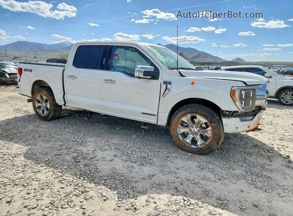 1FTFW1ED0PFB55343 2023 FORD F150 White Przód prawy