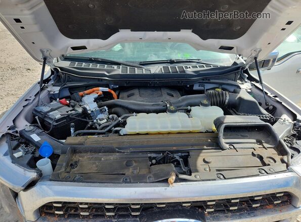 1FTFW1ED0PFB55343 2023 FORD F150 White Widok wnętrza z tyłu