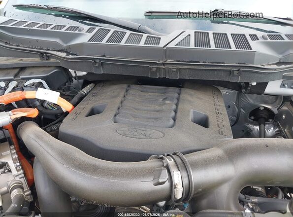 1FTFW1ED0PFC75661 2023 FORD F150 White Widok z tyłu