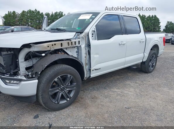 1FTFW1ED0PFC75661 2023 FORD F150 White Przód lewy