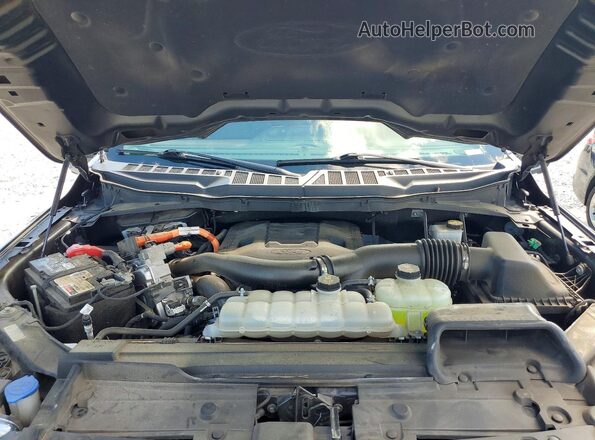 1FTFW1ED2MFC12167 2021 FORD F150 Gray Widok wnętrza z tyłu