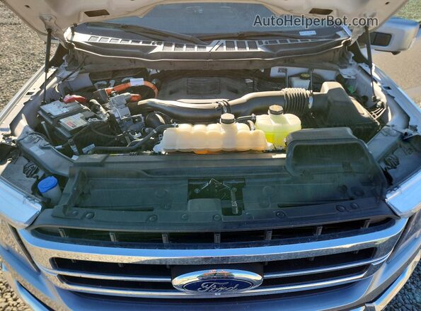 1FTFW1ED2MFC88701 2021 FORD F150 Silver Սալոնի հետևի տեսք