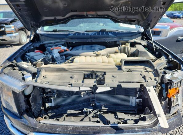 1FTFW1ED2NFA02489 2022 FORD F150 Blue Вид задньої частини салону