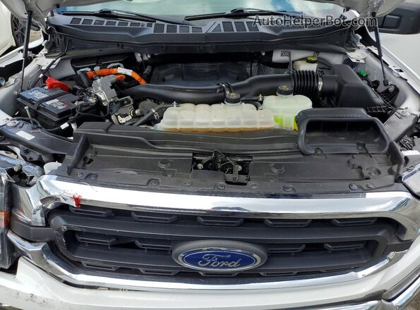 1FTFW1ED2PFC65150 2023 FORD F150 White Rear interior view