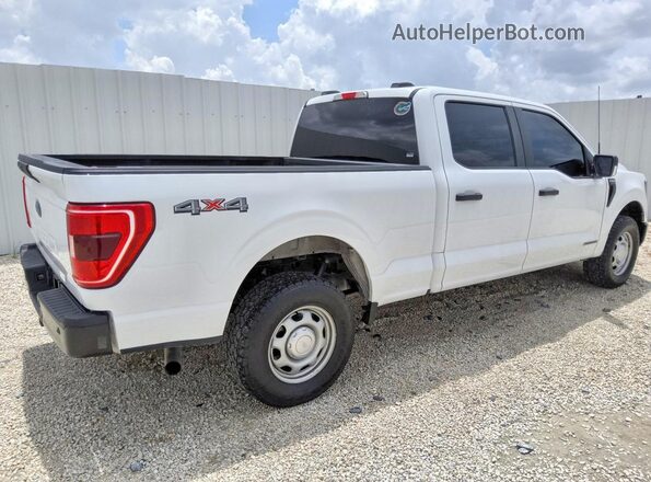 1FTFW1ED2PFD27565 2023 FORD F150 White Tył prawy