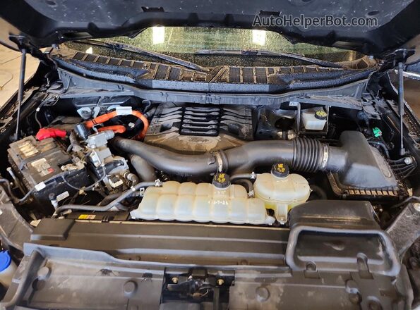 1FTFW1ED6MFB76497 2021 FORD F150 Black Rear interior view