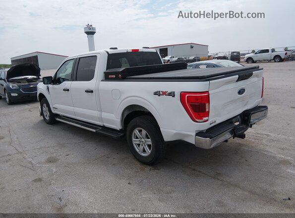 1FTFW1ED6NFC40989 2022 FORD F150 White უკანა მარცხენა
