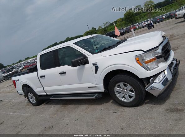 1FTFW1ED6NFC40989 2022 FORD F150 White უკანა სალონის ხედი