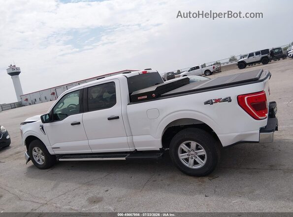 1FTFW1ED6NFC40989 2022 FORD F150 White სალონის 360-გრადუსიანი ხედი