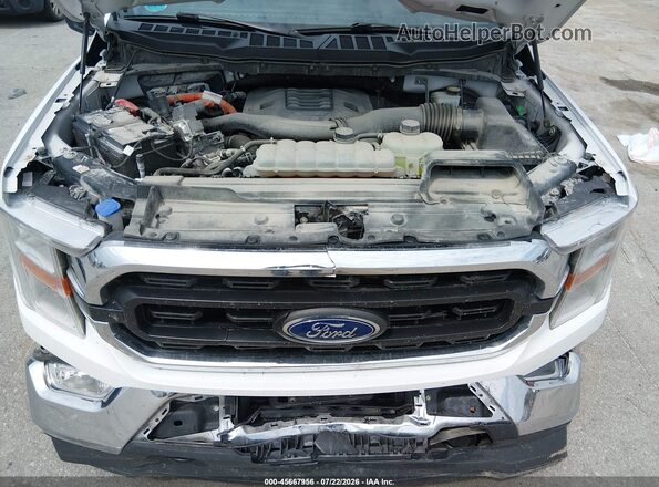 1FTFW1ED6NFC40989 2022 FORD F150 White უკანა ხედი