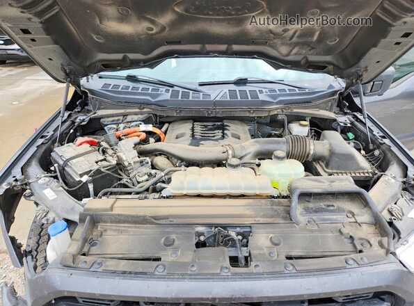 1FTFW1ED6PFD05438 2023 FORD F150 Charcoal Սալոնի հետևի տեսք