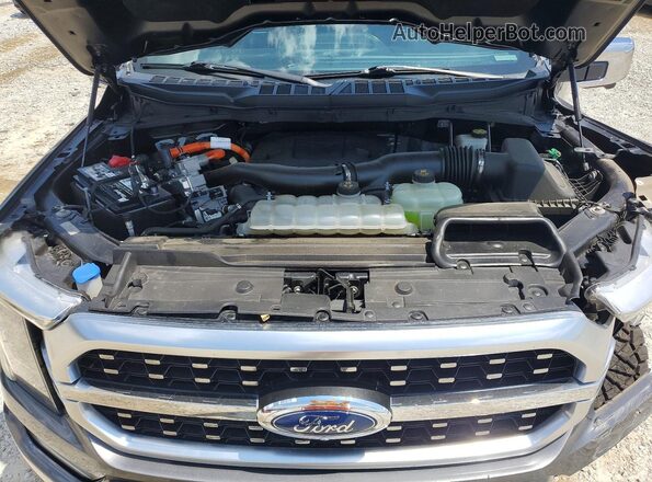 1FTFW1ED7NFA04772 2022 FORD F150 Gray უკანა სალონის ხედი
