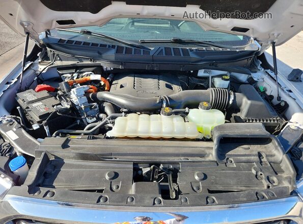 1FTFW1ED7PFC09852 2023 FORD F150 Silver Вид задньої частини салону