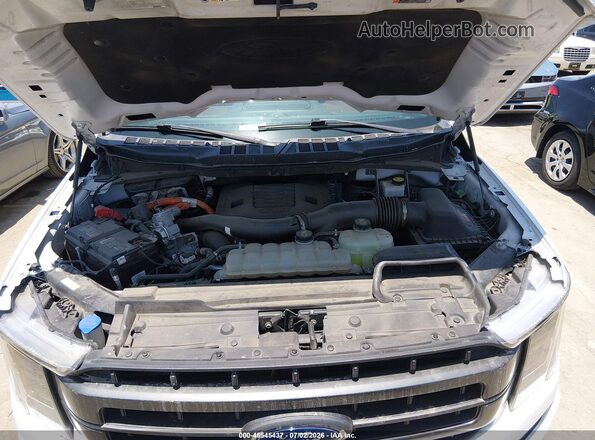 1FTFW1ED8MFA94528 2021 FORD F150 White უკანა ხედი