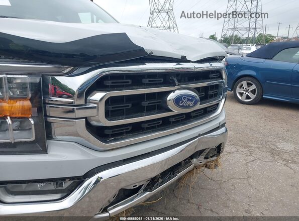1FTFW1ED9PFB28061 2023 FORD F150 Серый Вид спереди