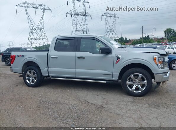 1FTFW1ED9PFB28061 2023 FORD F150 Серый Панорамный вид салона 360°