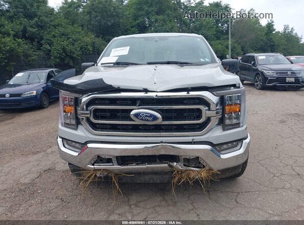 1FTFW1ED9PFB28061 2023 FORD F150 Серый Вид задней части салона