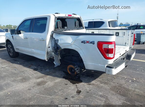 1FTFW1EDXPFC74209 2023 FORD F150 White უკანა მარცხენა