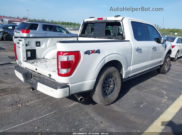 1FTFW1EDXPFC74209 2023 FORD F150 White უკანა მარჯვენა