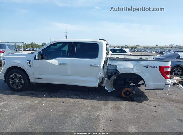 1FTFW1EDXPFC74209 2023 FORD F150 White უკანა სალონის ხედი