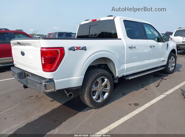 1FTFW1EDXPFC84030 2023 FORD F150 White Tył prawy