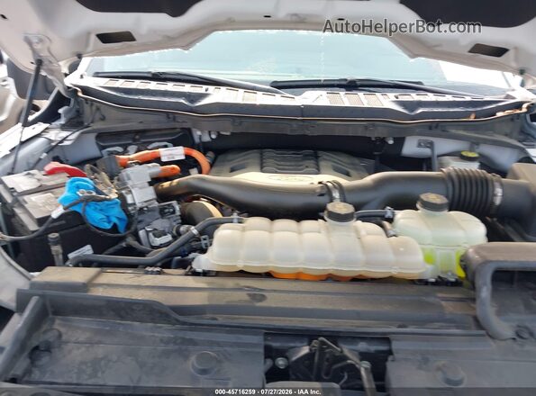 1FTFW1EDXPFC84030 2023 FORD F150 White Widok z tyłu