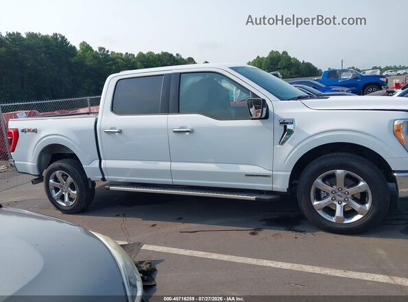 1FTFW1EDXPFC84030 2023 FORD F150 White Widok wnętrza z tyłu