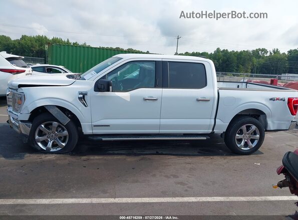 1FTFW1EDXPFC84030 2023 FORD F150 White Widok wnętrza 360 stopni