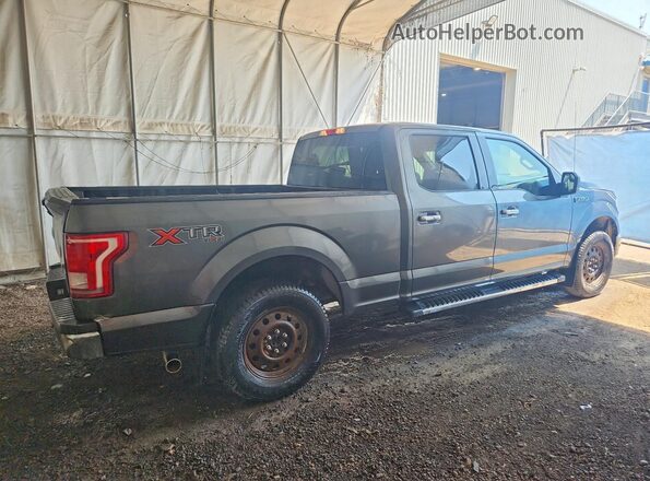 1FTFW1EF2HFA67994 2017 FORD F150 Charcoal Rear right