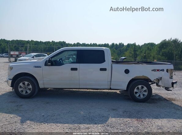 1FTFW1EF5GKD60360 2016 FORD F150 Белый Панорамный вид салона 360°