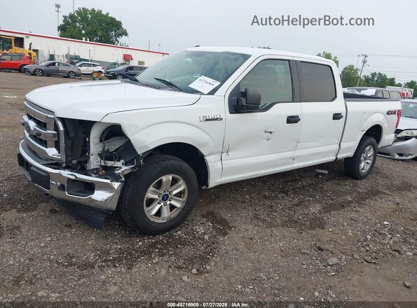 1FTFW1EF5GKF23668 2016 FORD F150 White წინა ხედი