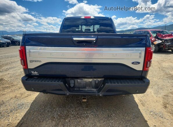1FTFW1EG1GFB54244 2016 FORD F150 Blue Rear view