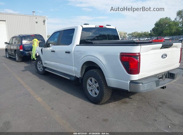 1FTFW1FD6RFB59656 2024 FORD F150 White Tył lewy