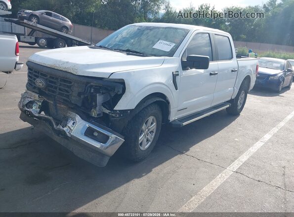 1FTFW1FD6RFB59656 2024 FORD F150 White Przód lewy